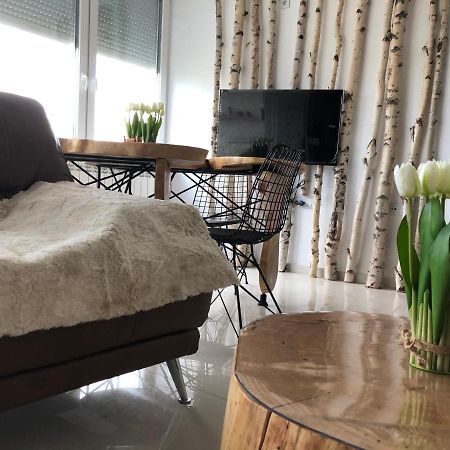 דירות סקופיה Artistic Luxury מראה חיצוני תמונה